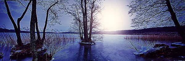 vinter