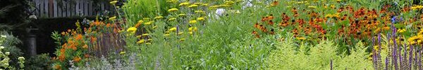 border_in_tuinontwerp_mien_ruys border_in_tuinontwerp_mien_ruys