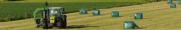 landbouw landbouw
