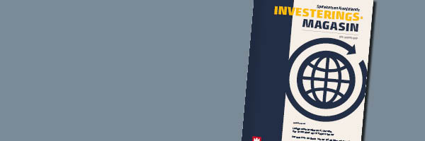 600x200px nyhedsbrev InvMag