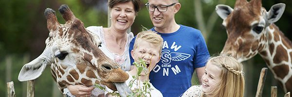 Odense ZOO familie