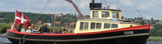 lillebjoern