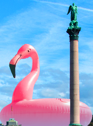 Schwimmender Flamingo