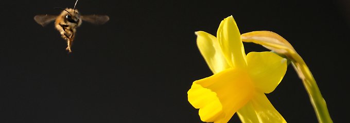 131565091.jpg