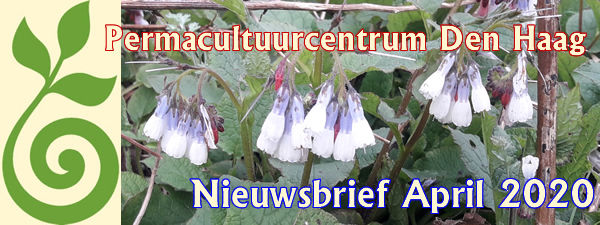 Logo van de nieuwsbrief 