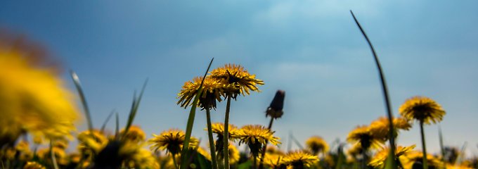imago99992743h.jpg