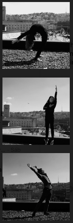 DIS Roof-Top-0711_2