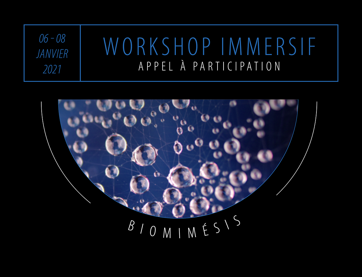 workshop_immersif_biomimesis