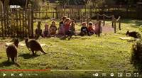 Kinder lesen