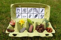 Kinder lesen