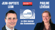 Libre Journal des économistes. Dette publique : en route pour l'abîme ? 